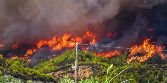 دمرت حرائق الغابات في اليونان بالفعل 90 ألف هكتار من الأراضي