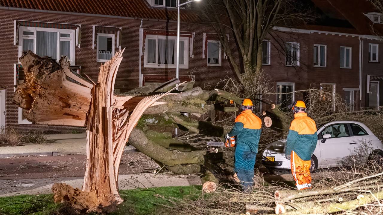 هولندا تتسبب في أضرار من عاصفة يونيس، وهي الأقوى منذ أربع سنوات
