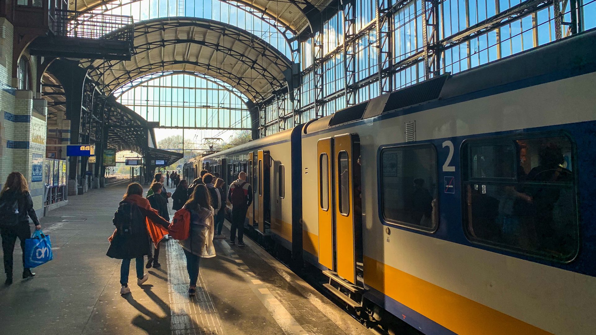 تصريح إقامة للاجئين ذوي المهارات العالية في هولندا